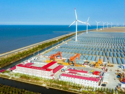 上海天然气过江隧道耐油橡胶补偿器合同项目 上海天然气过江隧道耐油橡胶补偿器合同项目