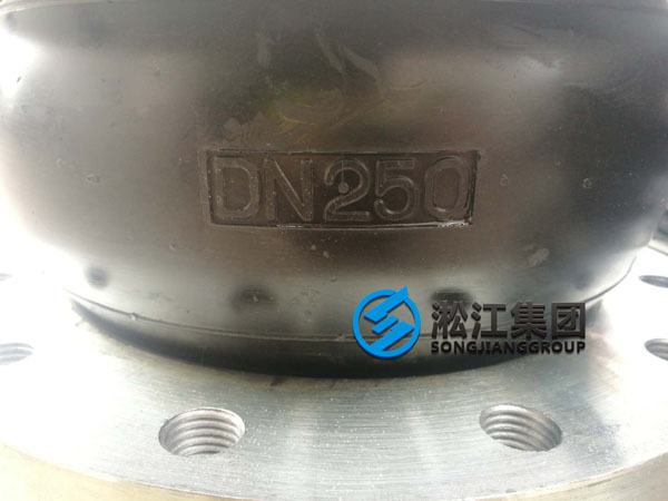 DN250氟橡胶软接头发往福清市现场