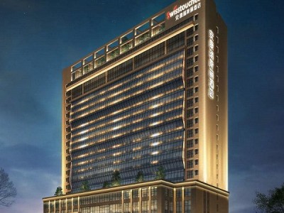 安康瑞斯丽酒店弹簧减振器项目案例